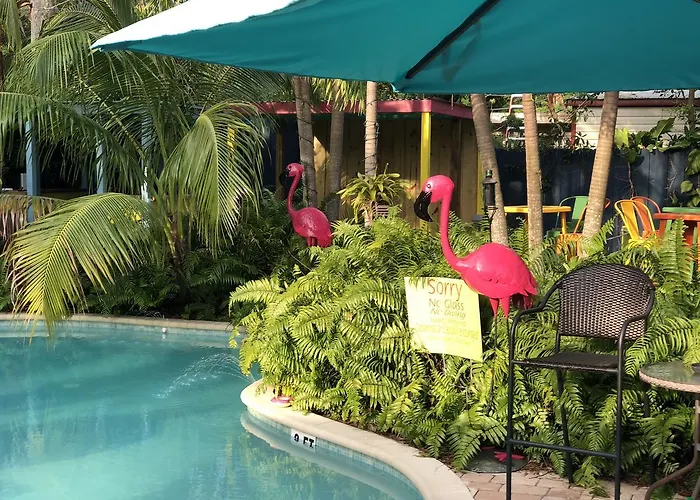 Calypso Inn Wilton Gay Male Resort