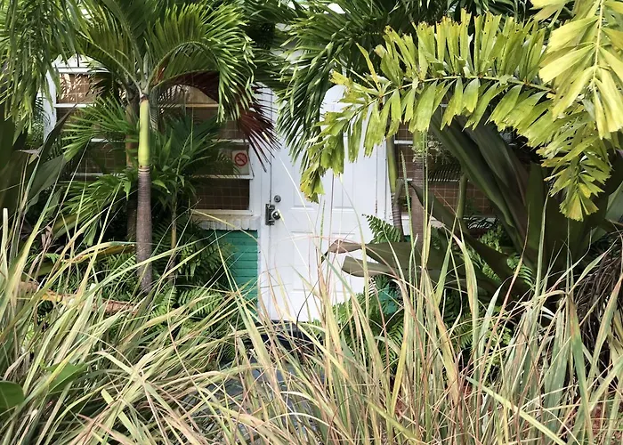 Calypso Inn Wilton Gay Male Resort